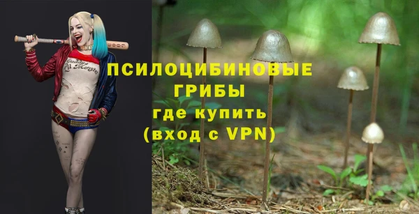 ешки Кинешма