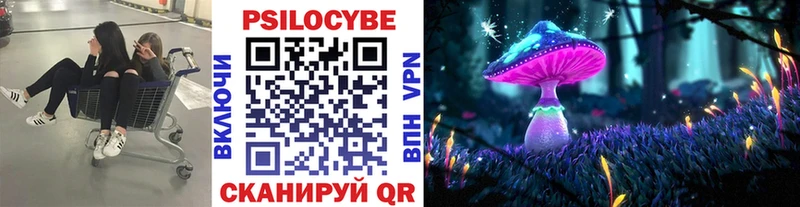 Псилоцибиновые грибы мицелий  Купить где  Кулебаки 